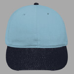 OTTO CAP 6 Panel Low Profile Baseball Cap