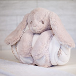 Rabbit and blanket