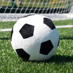 Mumbles Zippie Football