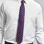 Premier Sports Stripe Tie