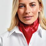 Premier 'Colours' Scarf