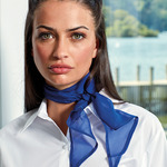 Premier 'Colours' Chiffon Scarf