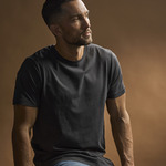 Tee Jays Luxury Cotton T-Shirt