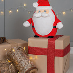 Zippie Father Christmas