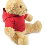 Mumbles Teddy Hoodie