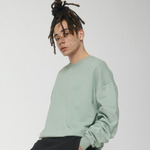 Unisex Ledger dry sweatshirt (STSU798)