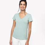 Native Spirit Ladies V Neck T-Shirt